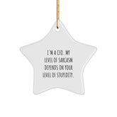 Funny CFO Gifts - 'I'm A CFO. My Level Of Sarcasm Depends On Your Level Of Stupidity.' Star Ornament for Christmas, Gifts from Friends to CFO, CFO Gifts for Men, Gifts for Women - Image 1